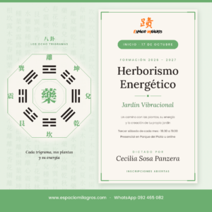 Curso Formativo en Herborismo Energético - Terapeuta en Plantas Medicinales Primer Año