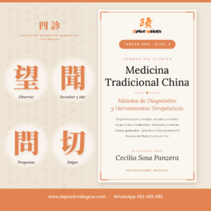 Medicina Tradicional China - Métodos de Diagnóstico y Herramientas Terapéuticas
